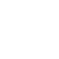 Emergency Cases Icon